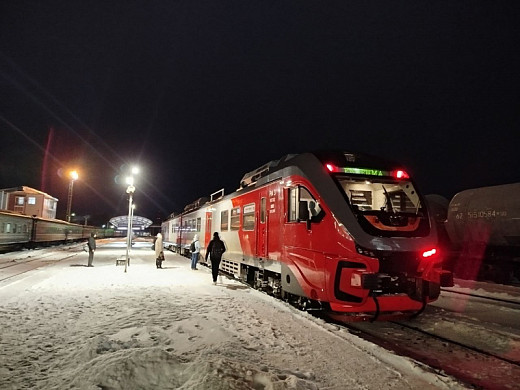 В Ивановской области поезд сбил двух лосей